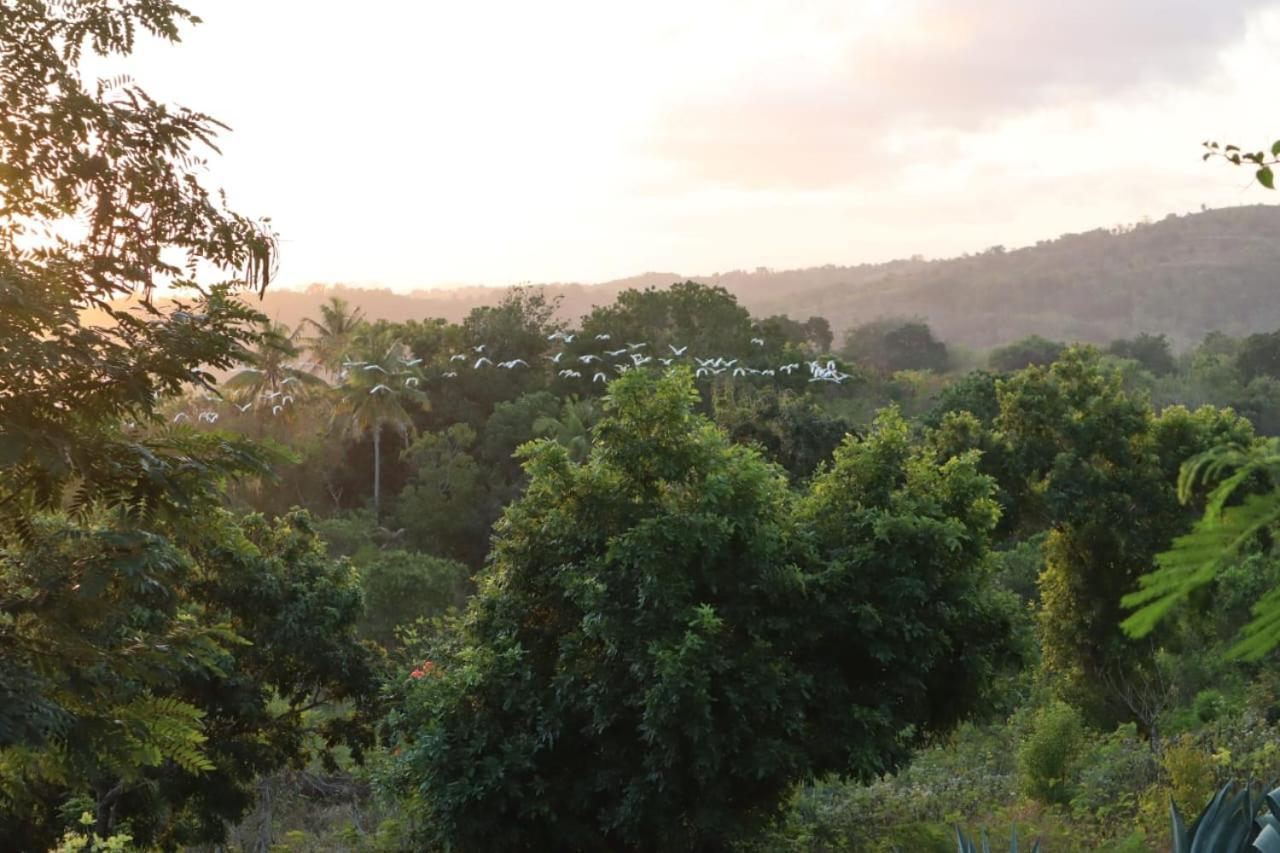 Sumba Nautil Resort Deke Ngoại thất bức ảnh